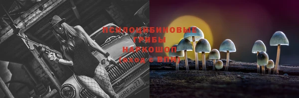 скорость Арсеньев