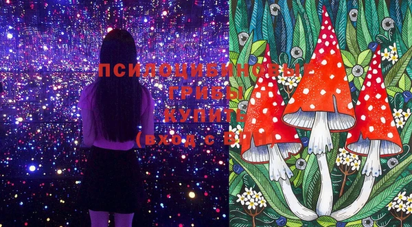 крисы Армянск