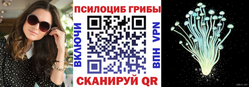 где купить   Ельня  Псилоцибиновые грибы MAGIC MUSHROOMS 